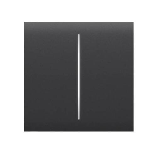 Ajax CENTERBUTTON (2-GANG) Graphite